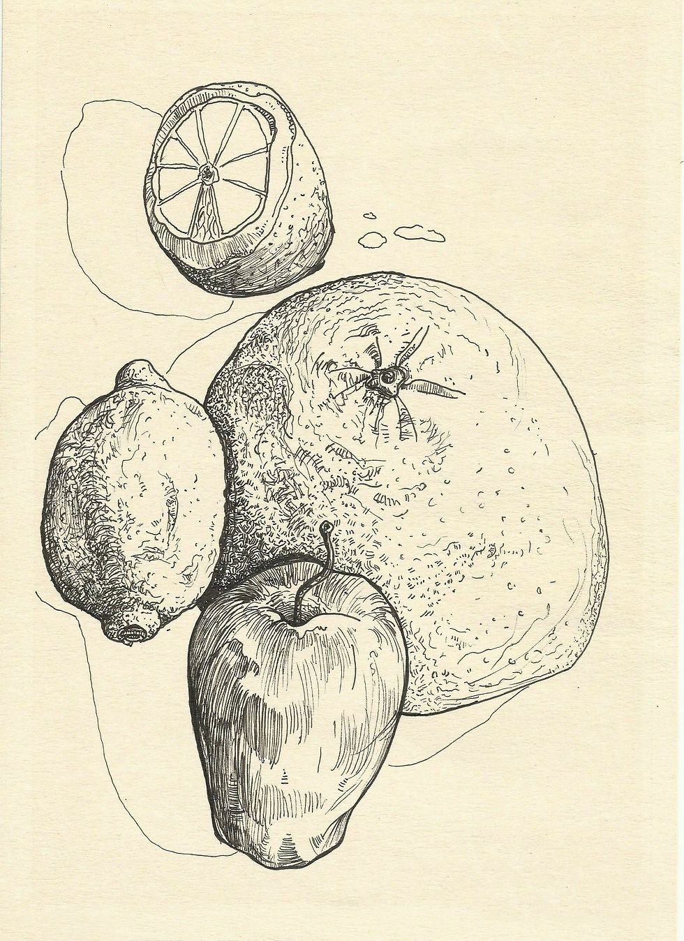 rysunek
