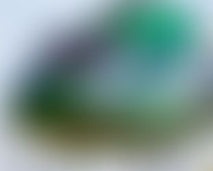 Two dead in helicopter crash with power lines