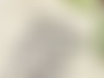 Smart Thinking
How Risk Reversal can Grow your Business?