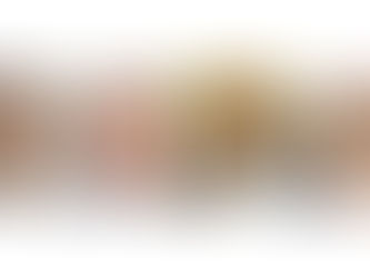 FORMER executives and directors of the SME Bank who challenged their removal by the Bank of Namibia 