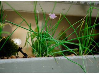 Have You Heard? There’s A New Chef in Town…