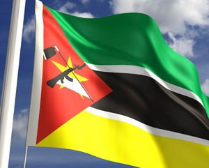 One of Africa's largest wildlife relocations begins