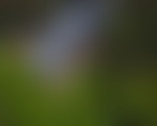 Train blast kills 1 passenger in SW Pakistan