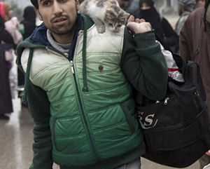 Evacuation of rebel-held Aleppo delayed