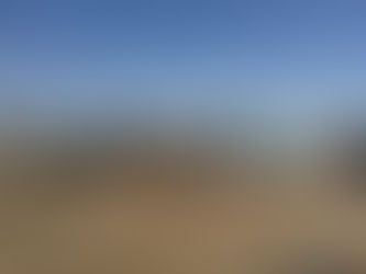 Die klein foksterriër wat Sondag in 'n motorongeluk buite Arandis betrokke was, word steeds verm