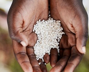 WFP chief urges EU to step up funds for Africa famine