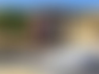 Regskenners verwelkom NR se besluit oor burgerskapwet