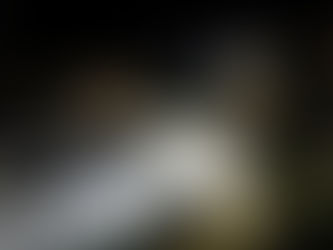 Seven dead after car plunges into Cambodian river