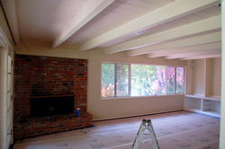 Fireplace - before