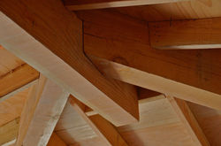 Ceiling/roof framing.