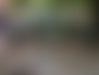 incautados 50 kilos de marihuana que iban en la bodega de un bus, en la Zona Bananera