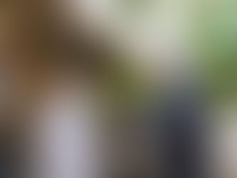 Caicedo y Mélenchon inician cumbre por el desarrollo del Magdalena