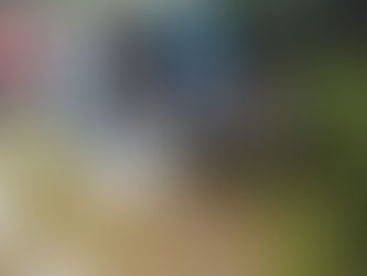 ABUELA Y NIETA FALLECEN EN ACCIDENTE DE TRÁNSITO EN BOLIVAR.