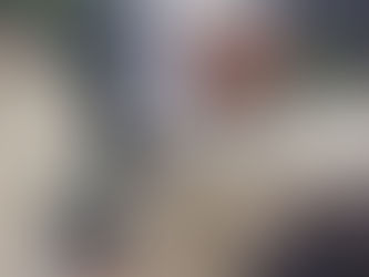 Policía capturó a un hombre por sacrificar 31 hicoteas en zona rural de Pivijay