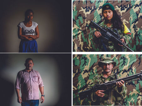 Como se ven mejor, con armas o sin armas?, ex-guerrilleros son productores de aguacate en Colombia