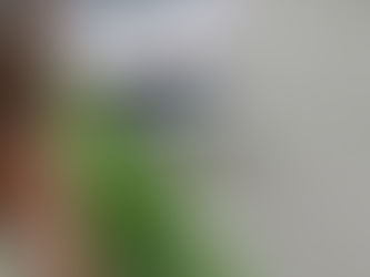 Arroyo en Barranquilla arrastra a una buseta escolar con 12 niñas.