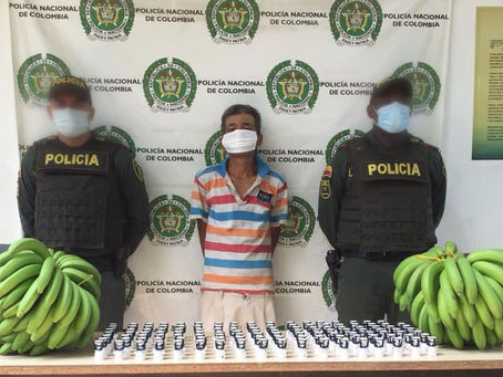 Capturado por hurtar 125 micro aspersores y guineos de una finca en la Zona Bananera 