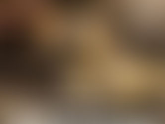 Un caminante encuentra un tesoro de más de 2.500 años de antiguedad que estaba a la vista de todos