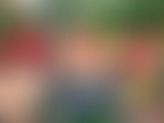 Con 3 Bancos de Maquinaria Verde gobernador Caicedo fortalece cultivos de más de 10 mil campesinos