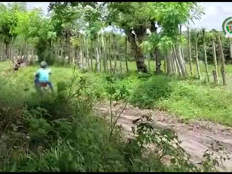 En vídeo como extorsionaban y 120 personas fueron capturadas a nivel nacional en operación "Tornado"