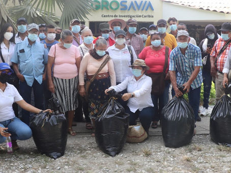 AGROSAVIA entrega 95 toneladas de silo de sorgo y maíz a productores de Magdalena