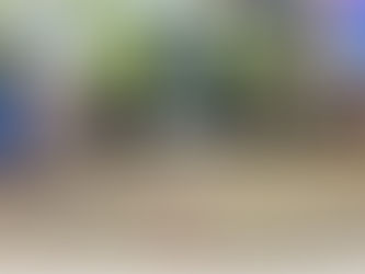 Capturada una mujer y dos hombres con más de 10 kilos de marihuana en el Magdalena 