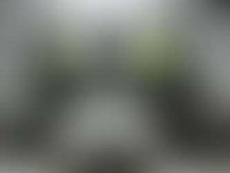 EXTRANJERO FUE SORPRENDIDO CON ALUCINOGENOS LISTOS PARA SU VENTA 