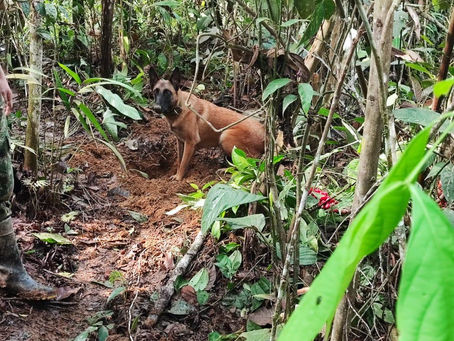 Ejército Nacional destruye de forma controlada seis artefactos explosivos en el sur de Bolívar