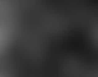 La Revancha del Gato Que Está Triste y Azul: De Eliminado en San Remo a Himno Mundial