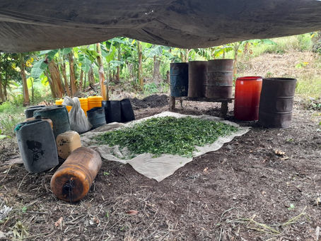 Ejército Nacional ubica laboratorio para el procesamiento de pasta base de coca en el sur de Bolívar