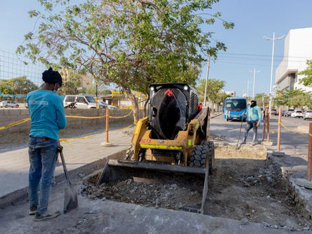 Avanza en un 85% la reposición de placas de pavimento en el Distrito
