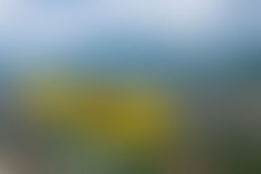 ALMA Air se alista para devolver los hidroaviones a Colombia y abrir una nueva era del turismo sostenible