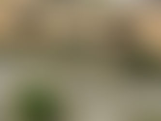 El CEO que intentó "educar" a sus clientes (y hundió un imperio)