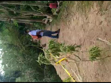 EROSIÓN SE TRAGA LA VEREDA LA ESMERALDA EN CERETÉ CÓRDOBA