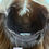 Thumbnail: Alyson 17” Wig (S)