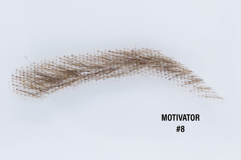 Thumbnail: WBT BROWS - MOTIVATOR