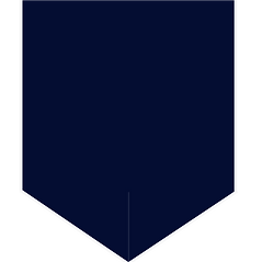 Untitled design (4).png