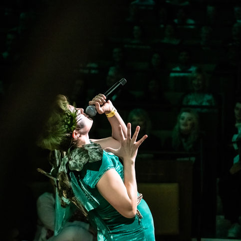 ©Rah Petherbridge Photography -shotgun Carousell live at the RA-140.jpg