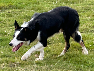 Two more new additions!!