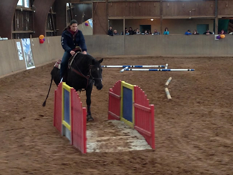 Der Beritt und das Training können diverse Bereiche des Westernreitens umfassen.