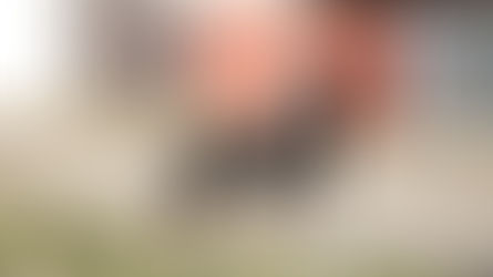 Beefer hat seine Familie gefunden!!!