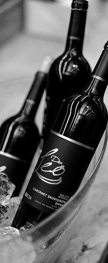 IXVendimia-DonLeo-9_edited.jpg