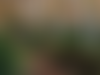 Proyecto Simbiosi. Bosques maduros, bosques terapéuticos.