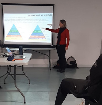taller emocional per entrenadors esportius