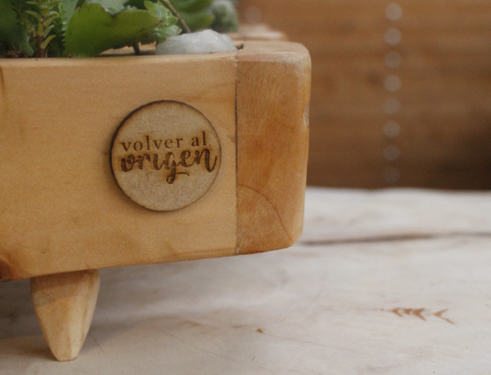 Miniatura: Letras suculentas