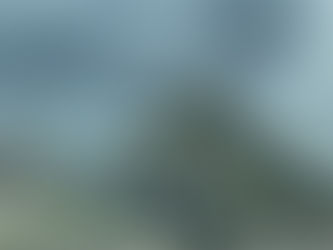 Repairing Your Flood-Damaged Home in Pinellas County: What You Need to Know