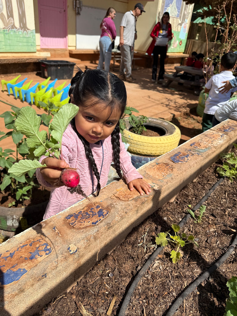 The Children's Garden