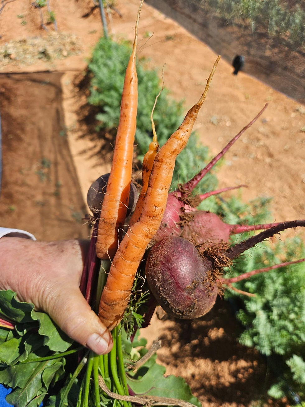 Spring harvest