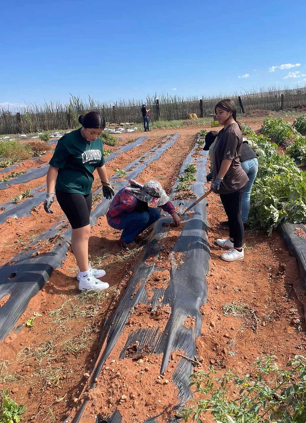 Cecyte High School volunteers
