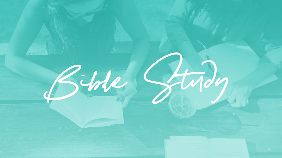 Bible Studes